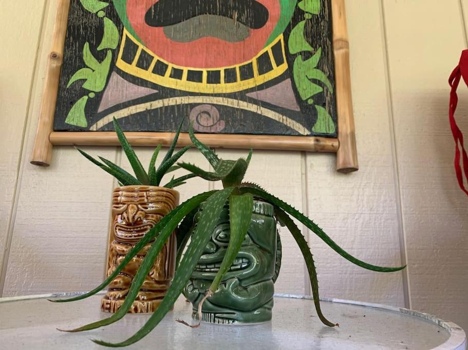 Hau'Oli Place Tiki Cottage In וולקנו מראה חיצוני תמונה