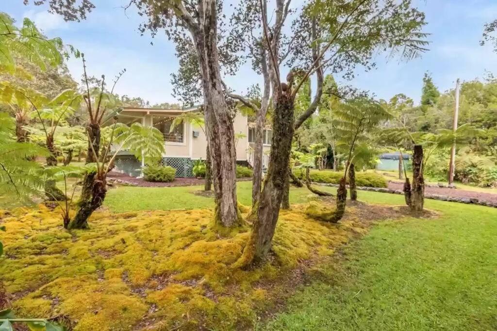 Hau'Oli Place Tiki Cottage In וולקנו מראה חיצוני תמונה