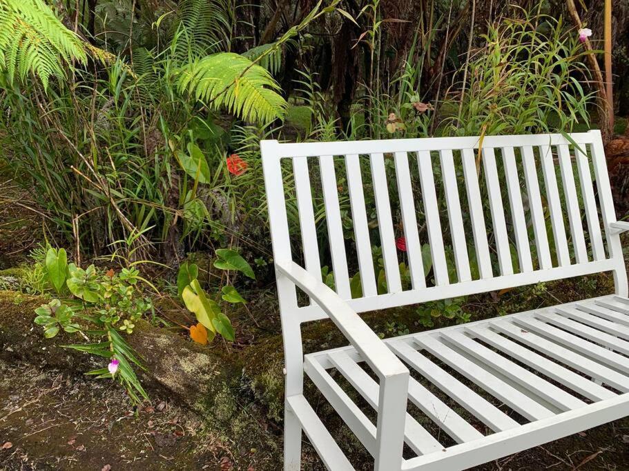 Hau'Oli Place Tiki Cottage In וולקנו מראה חיצוני תמונה
